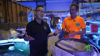 Kalkwasser Dosing  ACI Aquaculture Method Part 2 [upl. by Obellia]