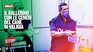 Un passeggero sospetto viene fermato con delle ceneri di un cane  Stop Border Control Fiumicino [upl. by Aisor]