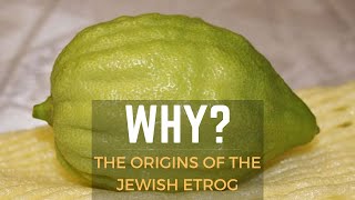 The Origins of the Jewish Etrog [upl. by Alicul]