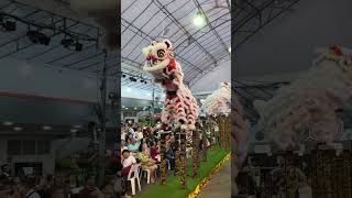 Yi Wei  Lion dance at the Hokkien Lam Ann Festival [upl. by Ahsit]