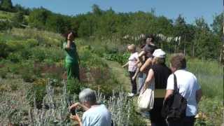 Lorto al Giardino di Pimpinella [upl. by Flita]