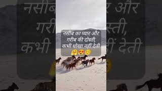 श्री कृष्णा कहते हैं😍trending☺️ shortvideo 😍youtubeshorts 🤗 [upl. by Nalyak]