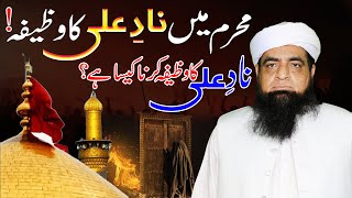 NadeAli Mushkilon Se Nikalti Hai  Nad e Ali Ka Wazifa Ka Faida  Mualana Peer Iqbal Qureshi [upl. by Alocin]