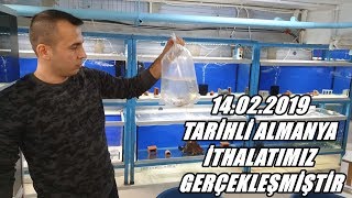 14022019 TARİHLİ 4 TANGANYIKA İTHALATIMIZ GERÇEKLEŞMİŞTİR [upl. by Guenzi892]