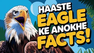 Mostdangerouseagle😱 HaastEagle haasteagle facts [upl. by Ahsikad526]