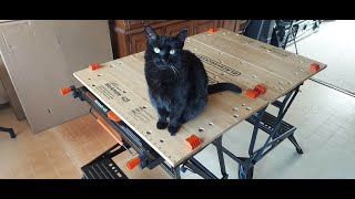 Black amp Decker™ Workmate® 425  Unboxing Review [upl. by Thaxter]