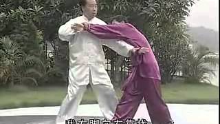 Shanxi Xingyi Quan  Yue Shi Lian Quan Ba Fan Shou 山西形意 岳式連拳 八翻手 [upl. by Javier]