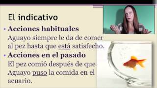 Class Videos with Dra B El subjuntivo en cláusulas adverbiales II CAMEL AND HATS [upl. by Nosiram]