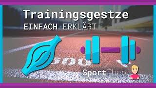 Trainingsgesetze einfach erklärt  Sporttheode [upl. by Ellett]