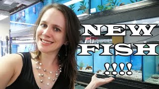 Hundreds of New Fish  Freshwater Cichlids amp Saltwater  Huge Shipment [upl. by Siddra]