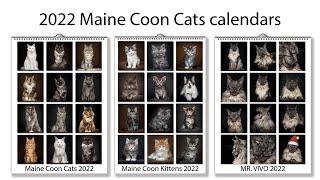 2022 Maine Coon Cats calendars by Felis Gallery [upl. by Ainirtak997]