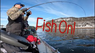 MISSISSIPPI RIVER WALLEYE FISHING With the fam [upl. by Eatnwahs941]