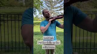 How to teach proper violin and viola positions in 15 seconds [upl. by Tterrab462]