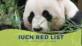 IUCN red data list  What is red data book of species [upl. by Flessel]