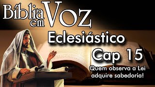 Eclesiástico  Capítulo 15  Quem observa a Lei adquire sabedoria [upl. by Enixam231]