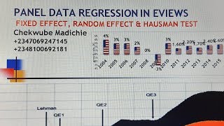 Panel Data Regression in Eviews Part 2 [upl. by Ebocaj]