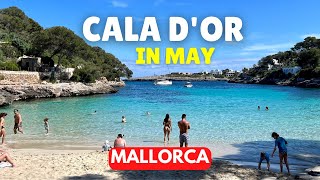 Cala dOr Mallorca PARADISE FOUND but is it busy [upl. by Eceinehs146]