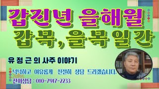 2024년 11월 갑진년 을해월 갑목을목일간 일주별 운세 [upl. by Aninep]