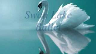 Swan Lake Ballet Tchaikovsky  Act IV XXVIII Scene amp XXIX Finale [upl. by Eniretak923]