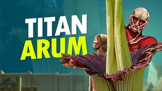 Titan Arum yang Tidak Harum AlamSemenit [upl. by Anaeerb988]