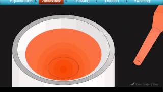 Cryotop Oocyte Vitrification Animation [upl. by Hallam]