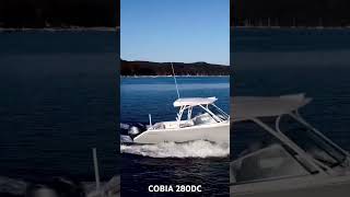 COBIA 280 DC  For Sale contact Boat Monster [upl. by Ynnek]