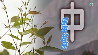 TVB 新聞掏寶｜中風再起時 繁  簡字幕｜香港歷史片段｜無綫新聞 TVB News [upl. by Allan]