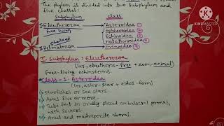 phylum Echinodermata classification  Hindi [upl. by Tiphani919]