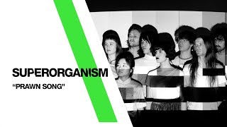 Superorganism  ‘The Prawn Song’ Live From The Independent  San Francisco CA [upl. by Chipman]