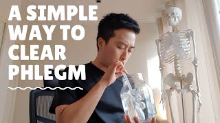 Clear phlegm now how to get rid of sputum cold flu pneumonia [upl. by Zil]