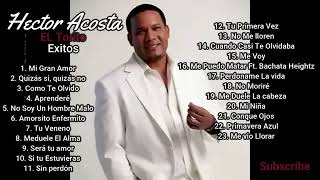 El Torito Bachata mix Hector acosta [upl. by Mcclure148]