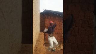 Kaboss na gasisi comedy ahingutse adakomanze agasobanuyegashya funny comedy [upl. by Hildegard173]