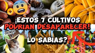 7 CULTIVOS QUE PODRIAN DESAPARECER😮 [upl. by Nocaj]