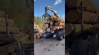 Debarker sawmill wood woodmachinery automobile woodbusiness woodworking woodmill woodwork [upl. by Ataliah]