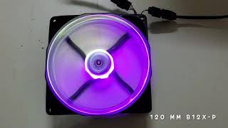 Noiseblocker NBeLoop X B12XP amp B14XP Fans RGB Lighting Effects [upl. by Ennaehr408]