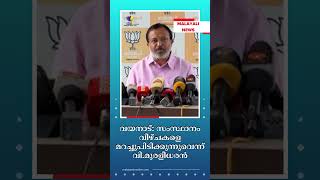 വയനാട് സംസ്ഥാനം വീഴ്ചകളെ മറച്ചുപിടിക്കുന്നുവെന്ന് വിമുരളീധരന്‍ Wayanad Landslide V Muraleedharan [upl. by Jenna]