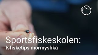 Isfiskeutstyr og tips til mormyshkafiske etter abbor [upl. by Harragan]