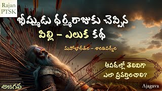 భారతంలో కథలు  భీష్ముడు చెప్పిన పిల్లి ఎలుక కథ  The Teachings of Bhishma  Rajan PTSK [upl. by Calista803]