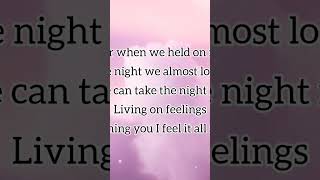 DIDNT WE ALMOST HAVE IT ALL Karaoke Whitney Houston [upl. by Arednaxela71]