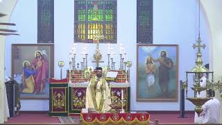 Divine Liturgy വിശുദ്ധ കുര്‍ബാന I 07312024 [upl. by Anyotal765]