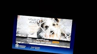 ASPCA End of Year Commercial [upl. by Cid]