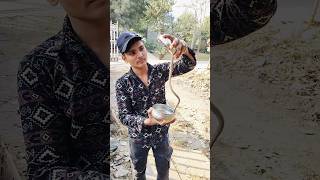 Snake prank 😂 wait for end 🙌🏻shorts viralshort comedy [upl. by Manda446]