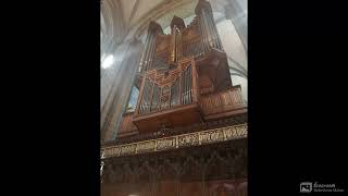 Chichester Cathedral organ rebuilt by N P Mander [upl. by Oznecniv]