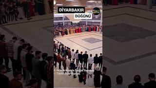 Diyarbakır düğünü diyarbakir amedspor halay kürtçe yanmirimyandiyarbekir travel shorts [upl. by Ralina]