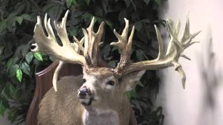 The Mike Beatty Buck [upl. by Atwater]