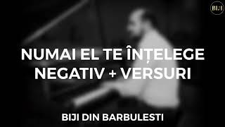 Negativ  NUMAI EL TE INTELEGE  Original Biji [upl. by Ait672]