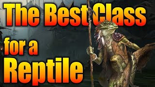 DampD Races 5e  The Reptiles Kobold Lizardfolk amp YuanTi What Character Class Should You Play [upl. by Hanni]