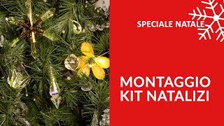 Kit Natalizi FAI DA TE  Addobba il tuo Albero di Natale [upl. by Ayiotal989]