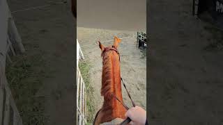 Bulldogger POV from Chance Butterfield on 41 sec run at Morris Manitoba ‌rodeo steerwrestling [upl. by Akirahc638]