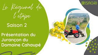 LeRegionaldelEtape  Saison 2  Présentation du Jurançon du Domaine Cahaupé [upl. by Eedahs]